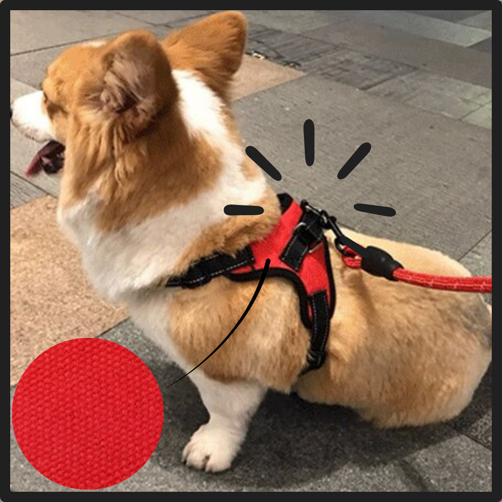 Reflekterende, justerbar hundesele - Ozerty