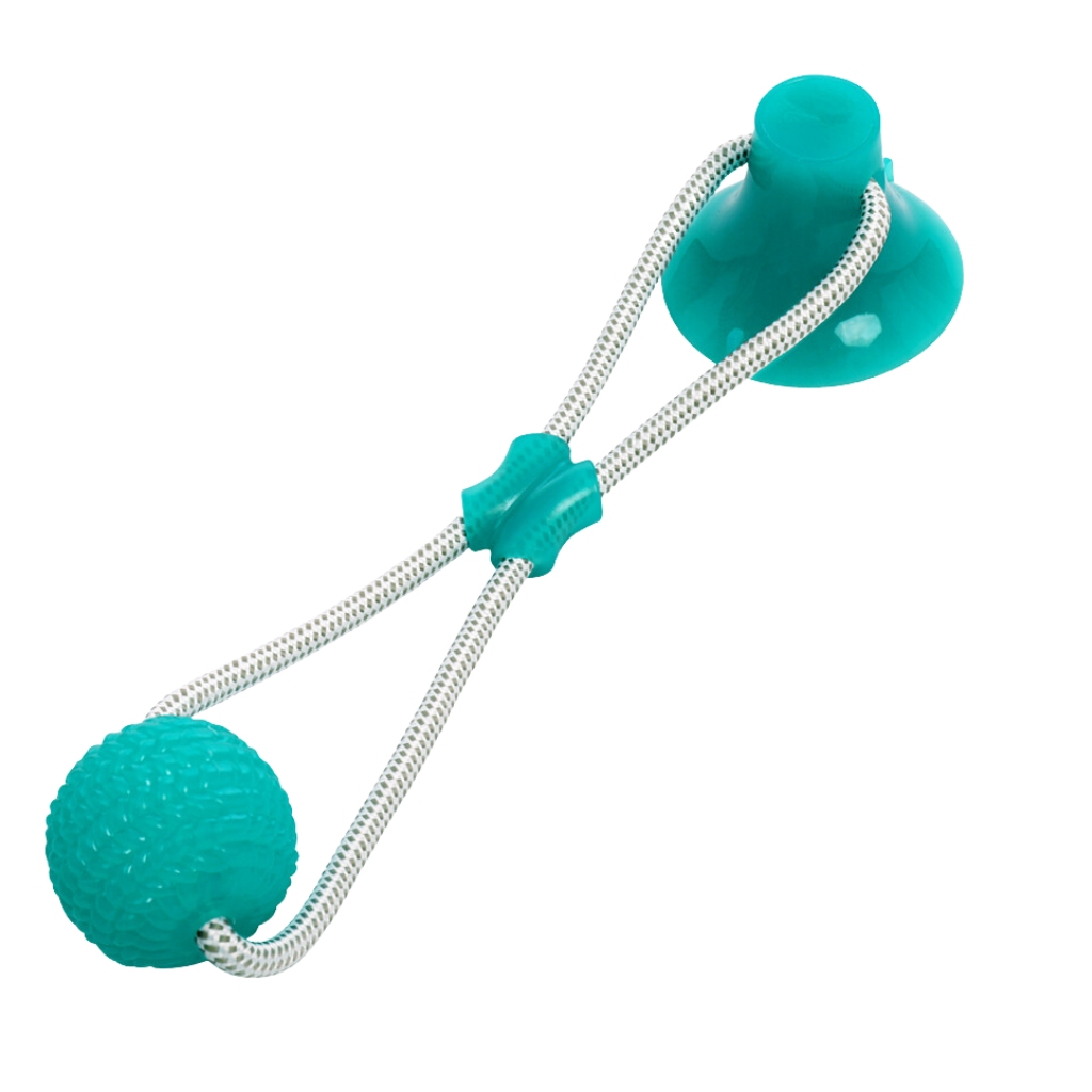 Ball dog toy with suction cup for dogs